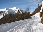 41 Son passati vari mezzi